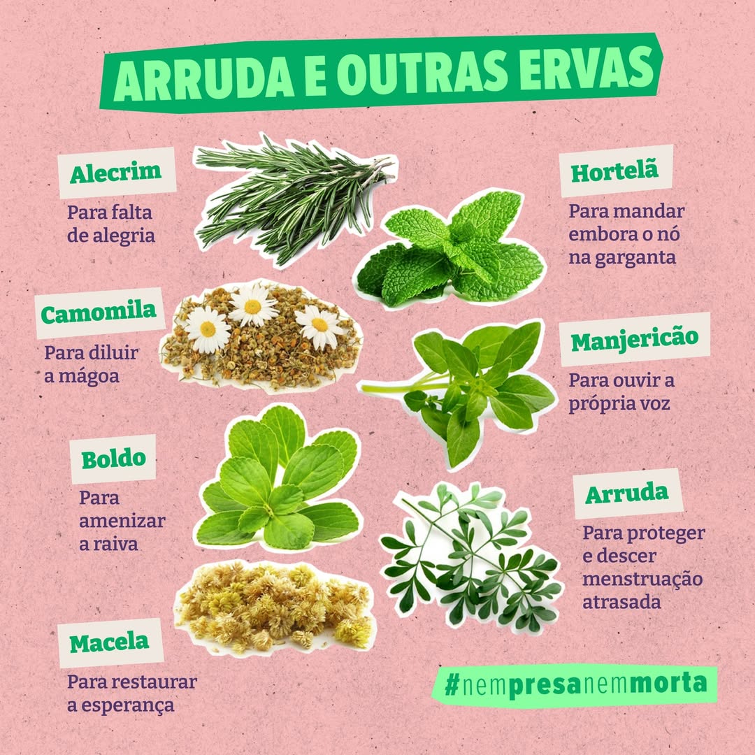 Arruda e Outras Ervas